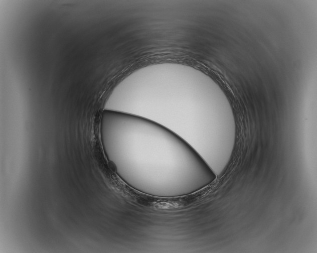 X0000116880512200912220947