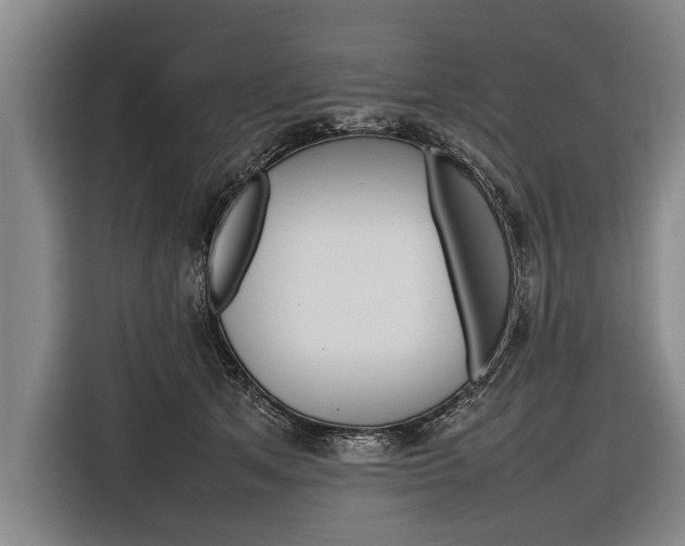 X0000116880513200912220947