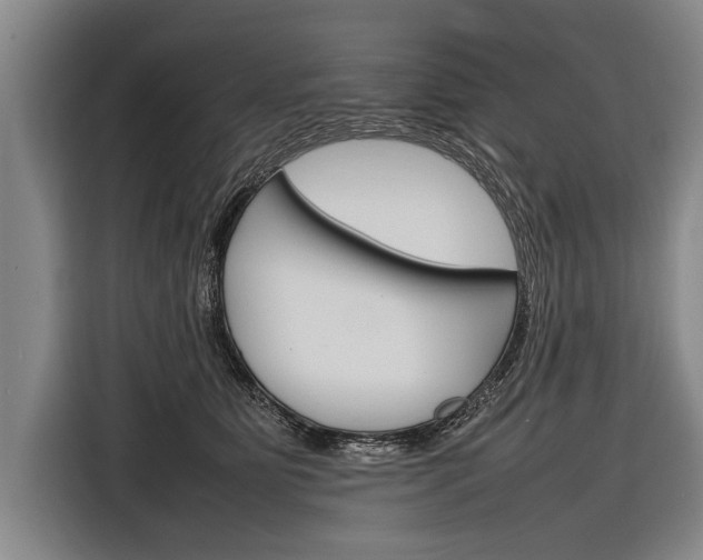 X0000116880515200912220947