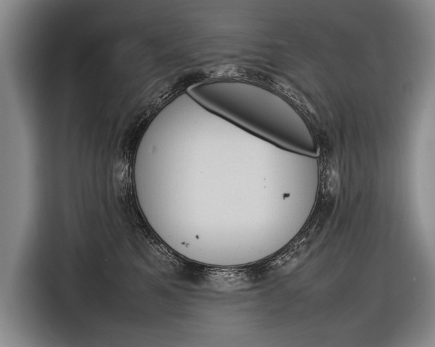 X0000116880521200912220947