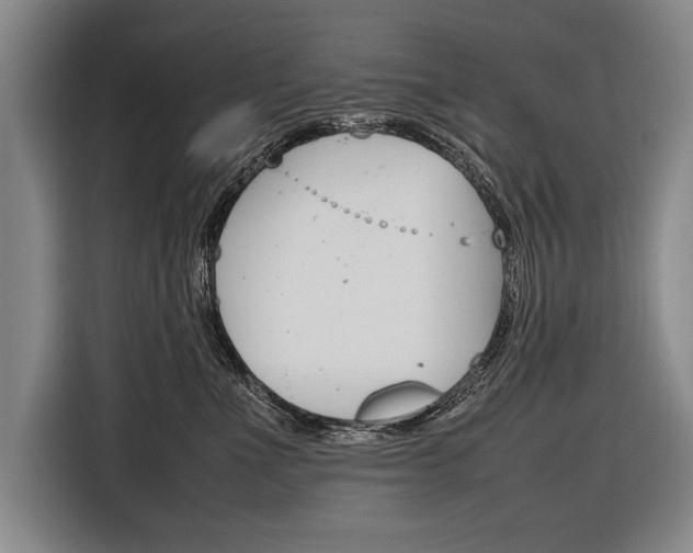 X0000116880523200912220947