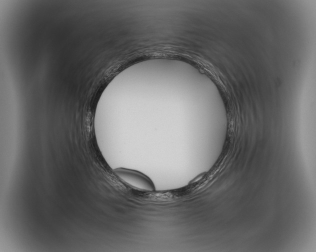 X0000116880525200912220947