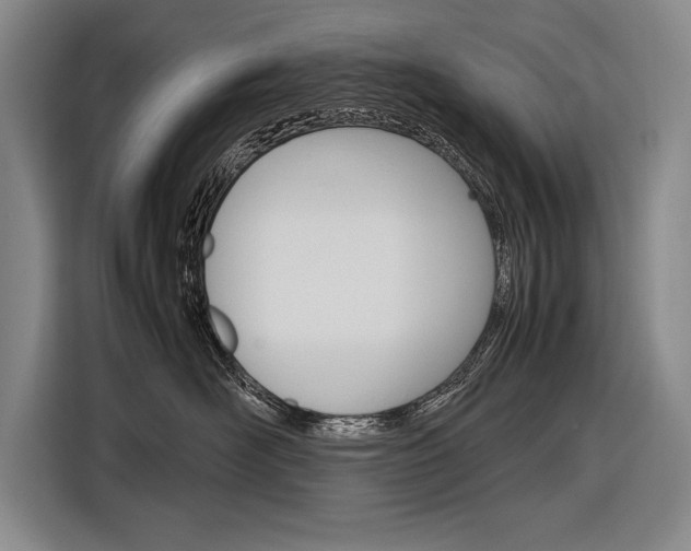 X0000116880526200912220947