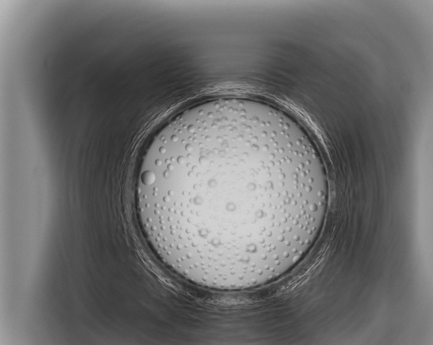 X0000116880529200912220946