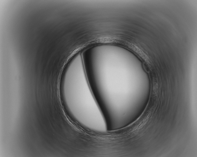 X0000116880530200912220946