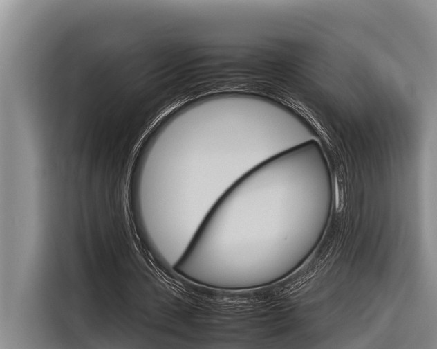 X0000116880531200912220946