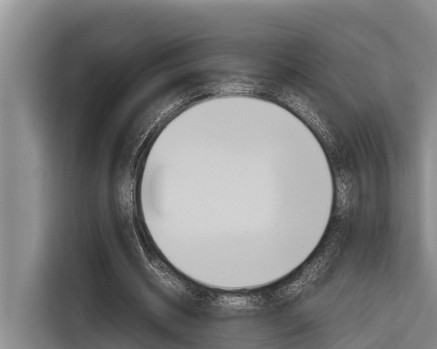 X0000116880534200912220946