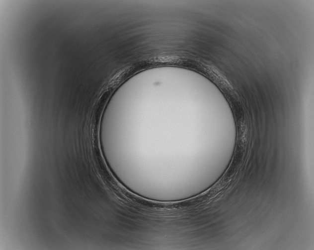 X0000116880542200912220946