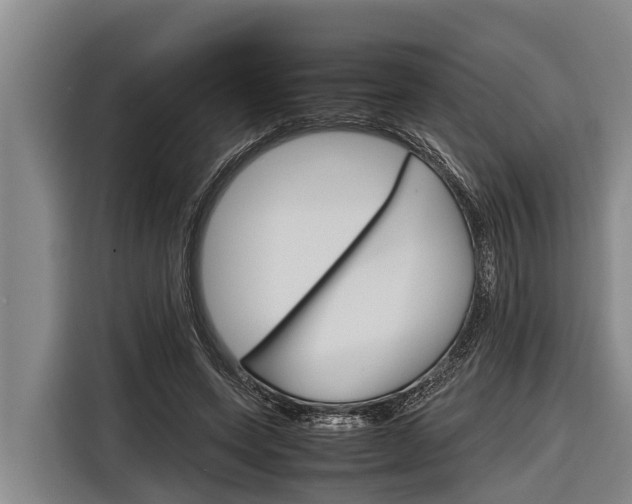 X0000116880543200912220946