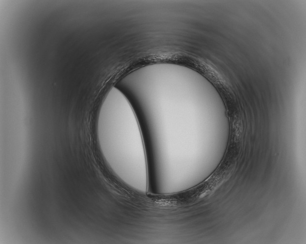 X0000116880546200912220946