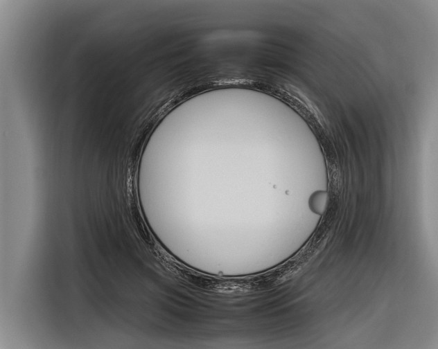 X0000116880549200912220946