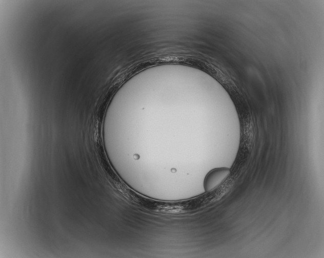 X0000116880554200912220946