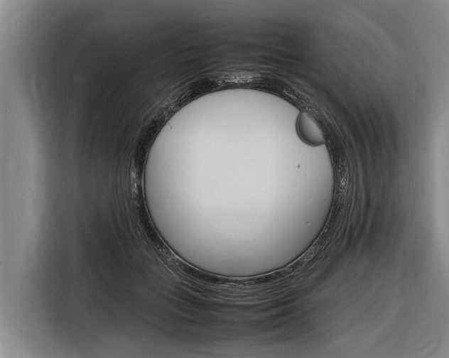 X0000116880555200912220946