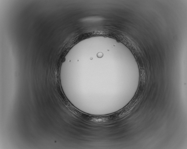 X0000116880557200912220946