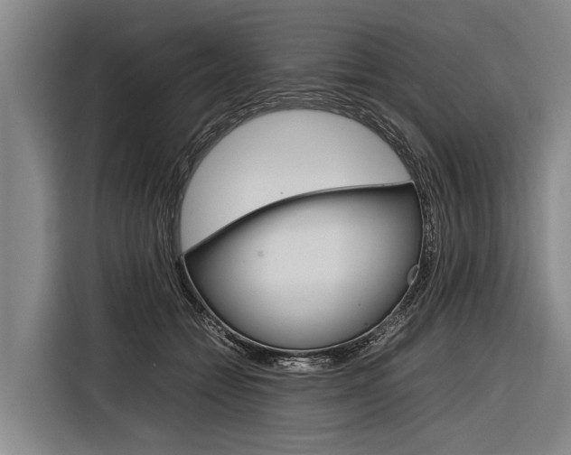 X0000116880558200912220946