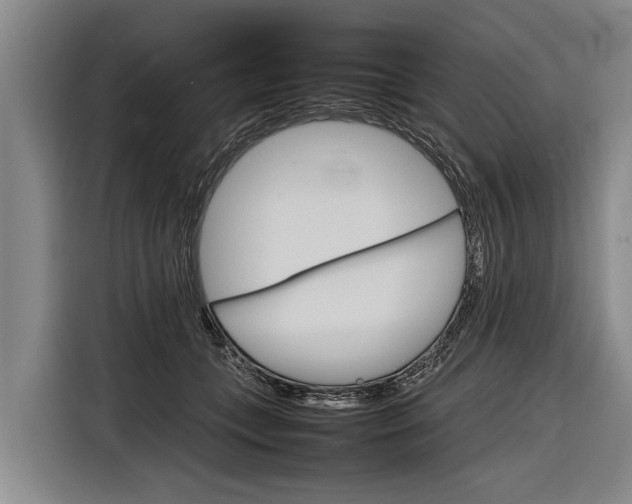 X0000116880559200912220946