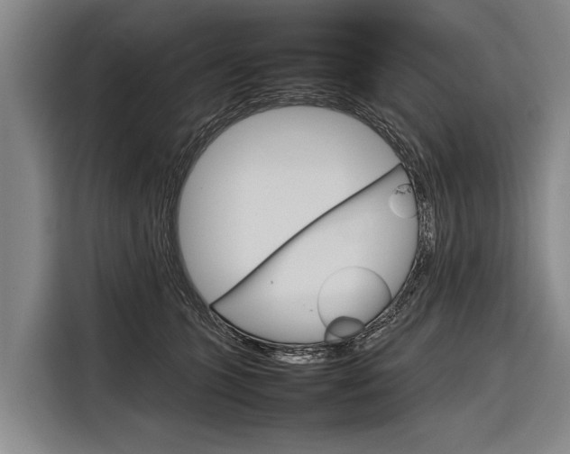 X0000116880563200912220947