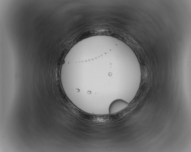 X0000116880565200912220947