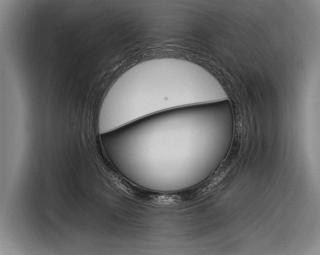 X0000116880566200912220947