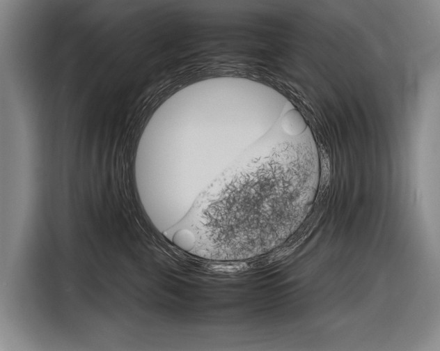X0000116880571200912220947