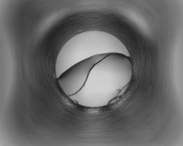 X0000116880574200912220947