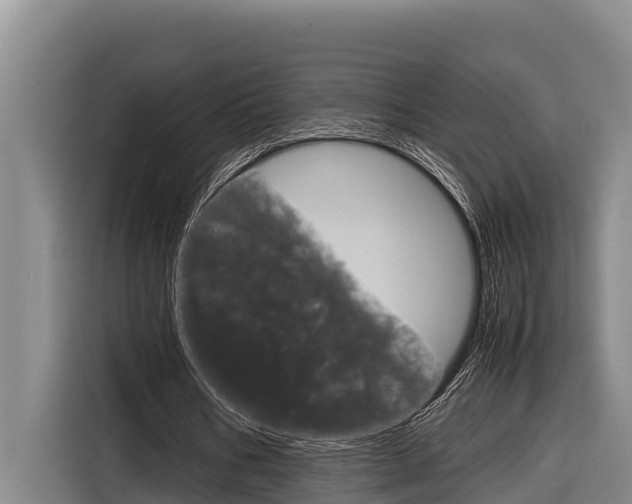 X0000116880578200912220946
