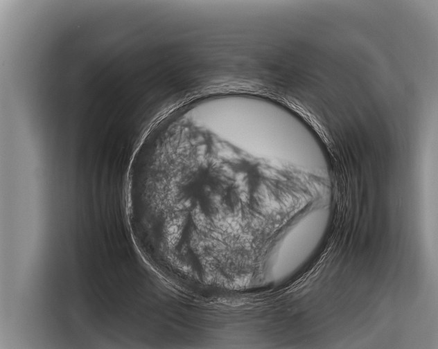 X0000116880582200912220946