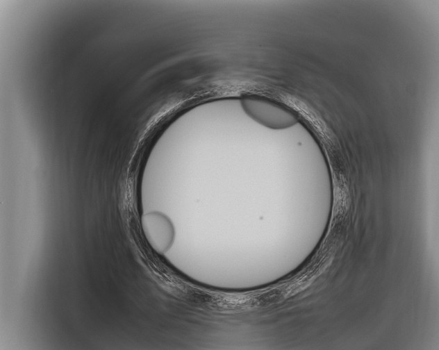 X0000116880583200912220946