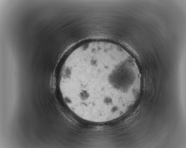 X0000116880584200912220946
