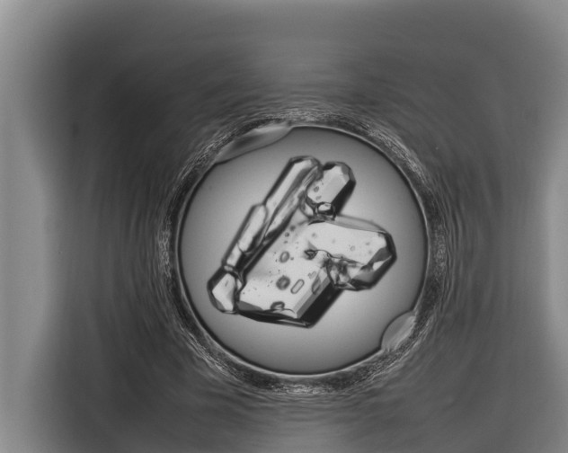 X0000116880585200912220946