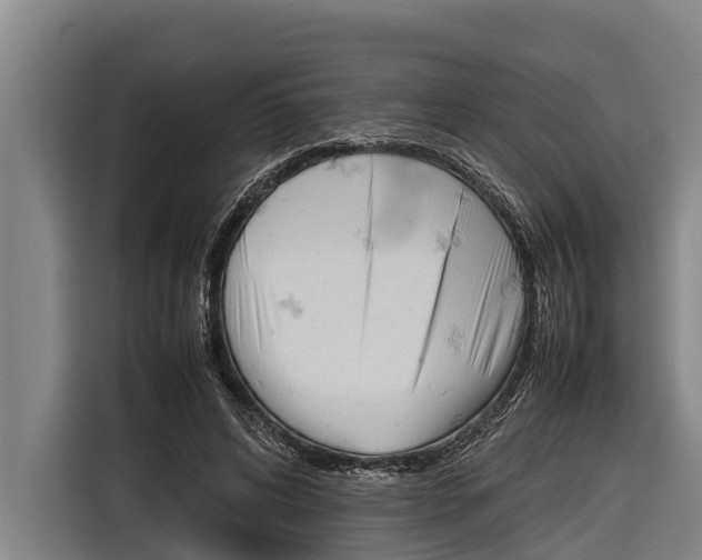 X0000116880592200912220946