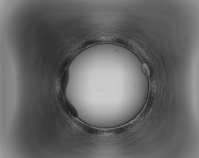 X0000116880593200912220946