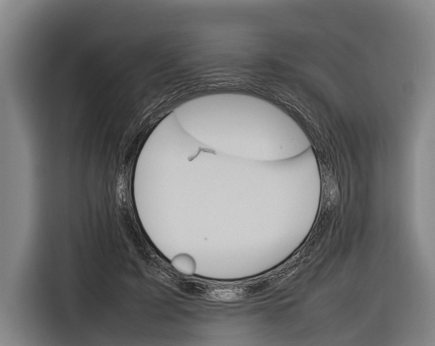 X0000116880595200912220946