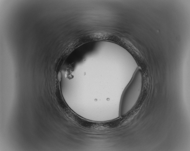 X0000116880597200912220946