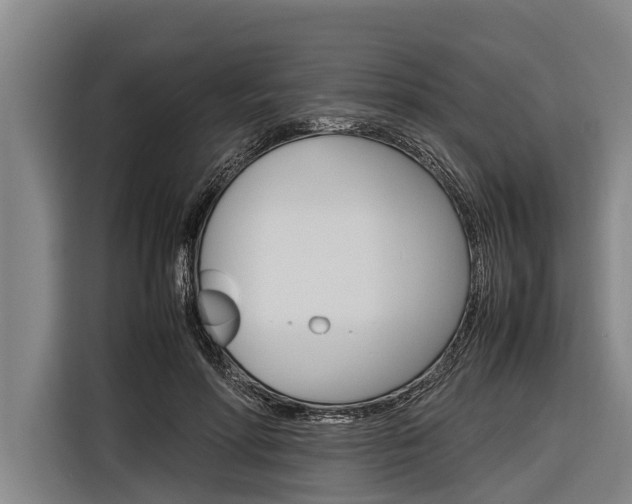 X0000116880598200912220946
