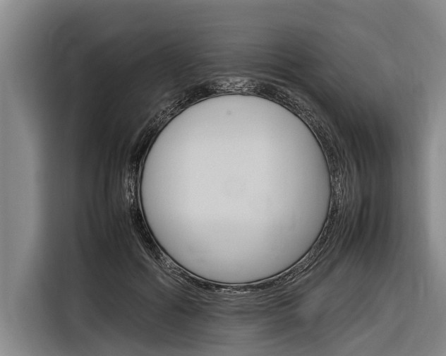X0000116880602200912220946