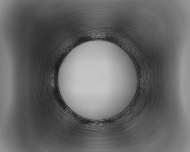 X0000116880604200912220946