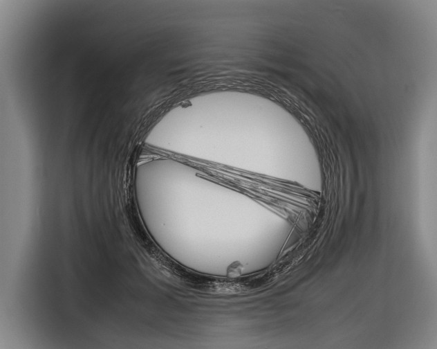 X0000116880605200912220946
