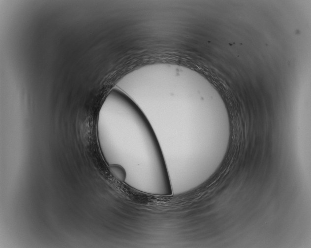 X0000116880608200912220946