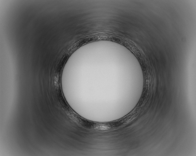 X0000116880610200912220946
