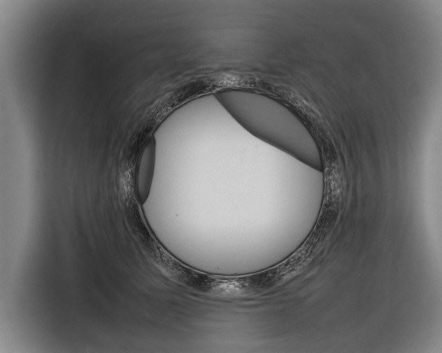 X0000116880611200912220946