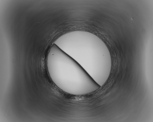 X0000116880612200912220946
