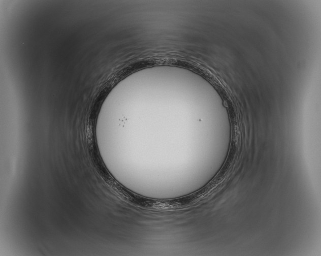 X0000116880613200912220946