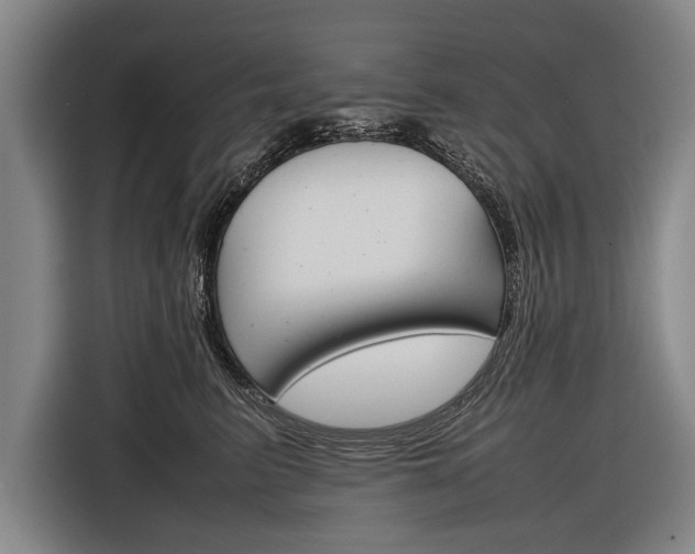 X0000116880615200912220946