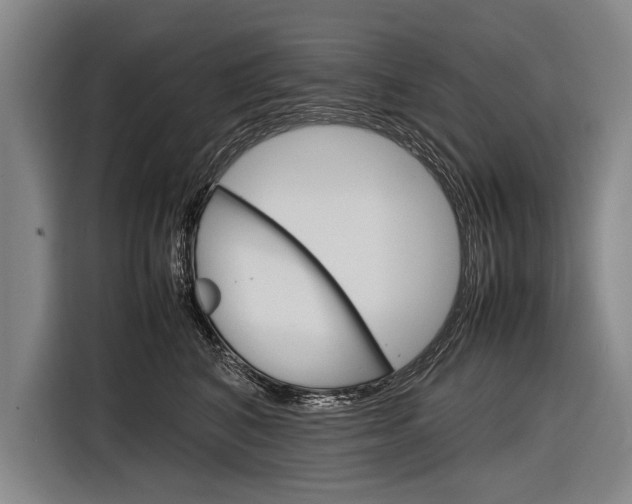 X0000116880616200912220946