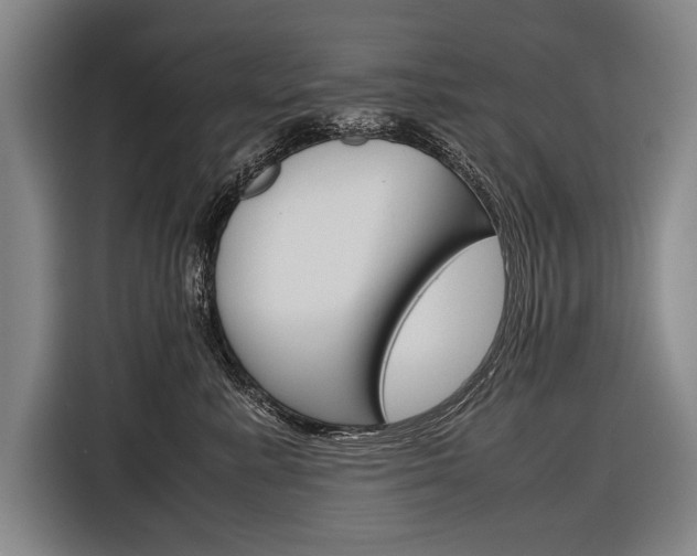 X0000116880619200912220946