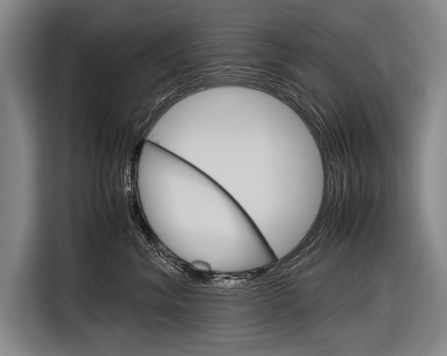 X0000116880620200912220946