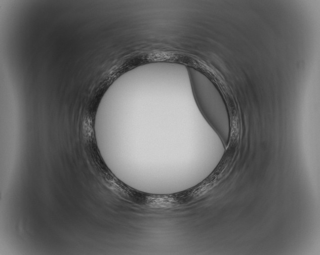 X0000116880621200912220946