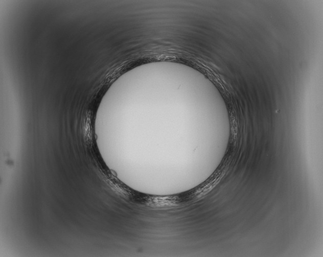 X0000116880622200912220945