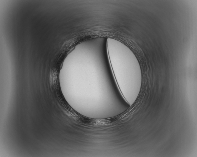 X0000116880623200912220945